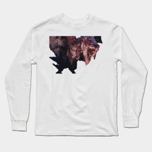 Rathalos - Roaring Long Sleeve T-Shirt